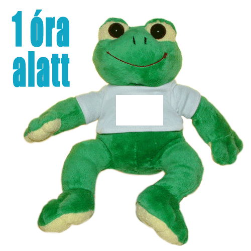Fényképes ajándéktárgyFényképes Plüss Béka - 1 óra alatt